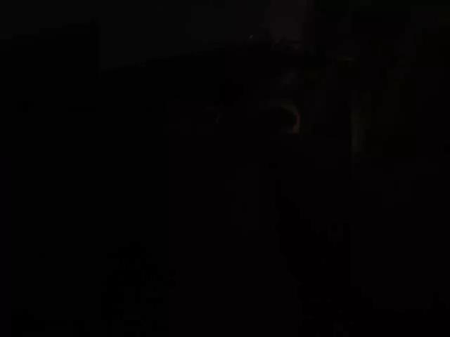 Bipara1