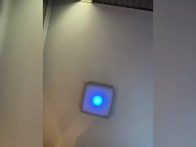 PALMIIRA