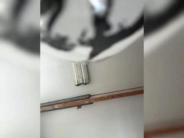 pizzahubb