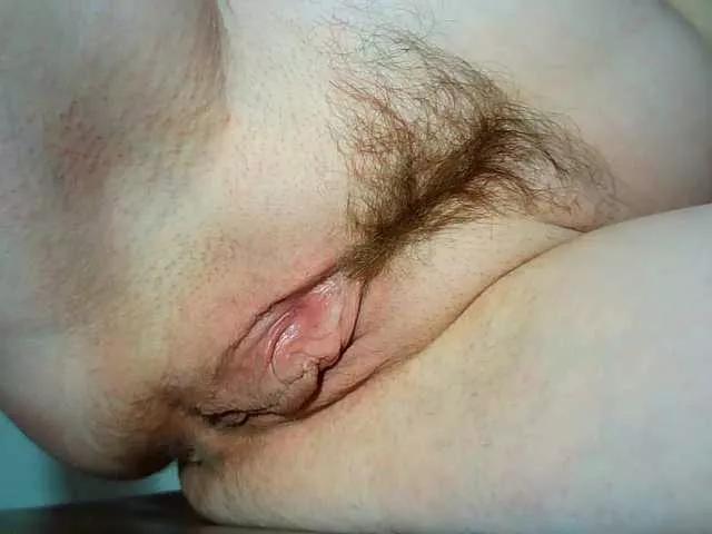 Xollan