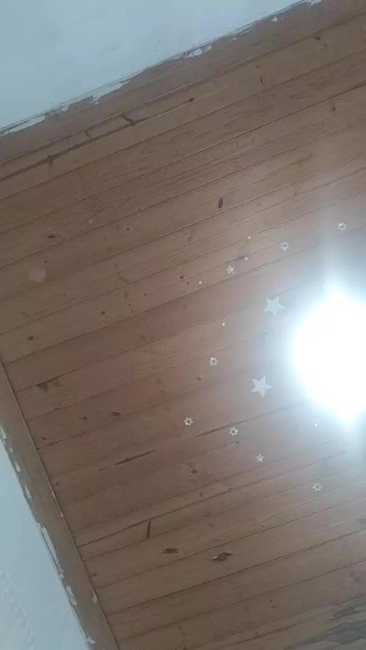 Casalnovinhos19