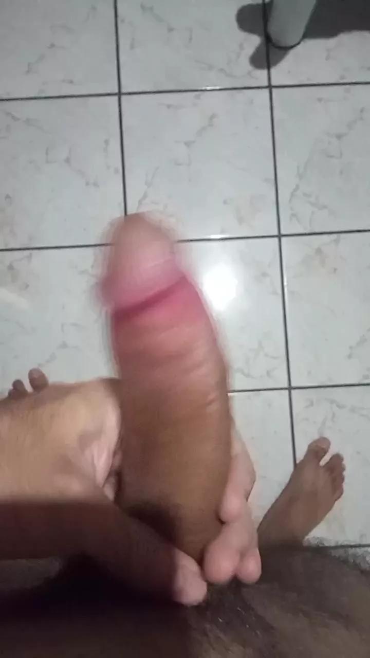 gato_de_boa
