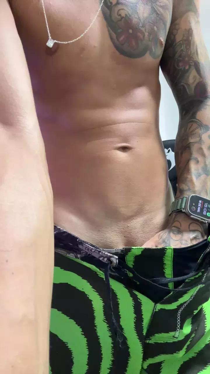 gato_dtado