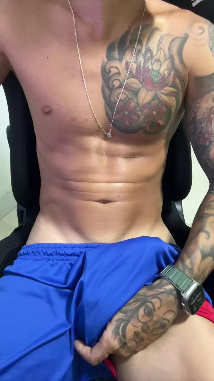 gato_dtado