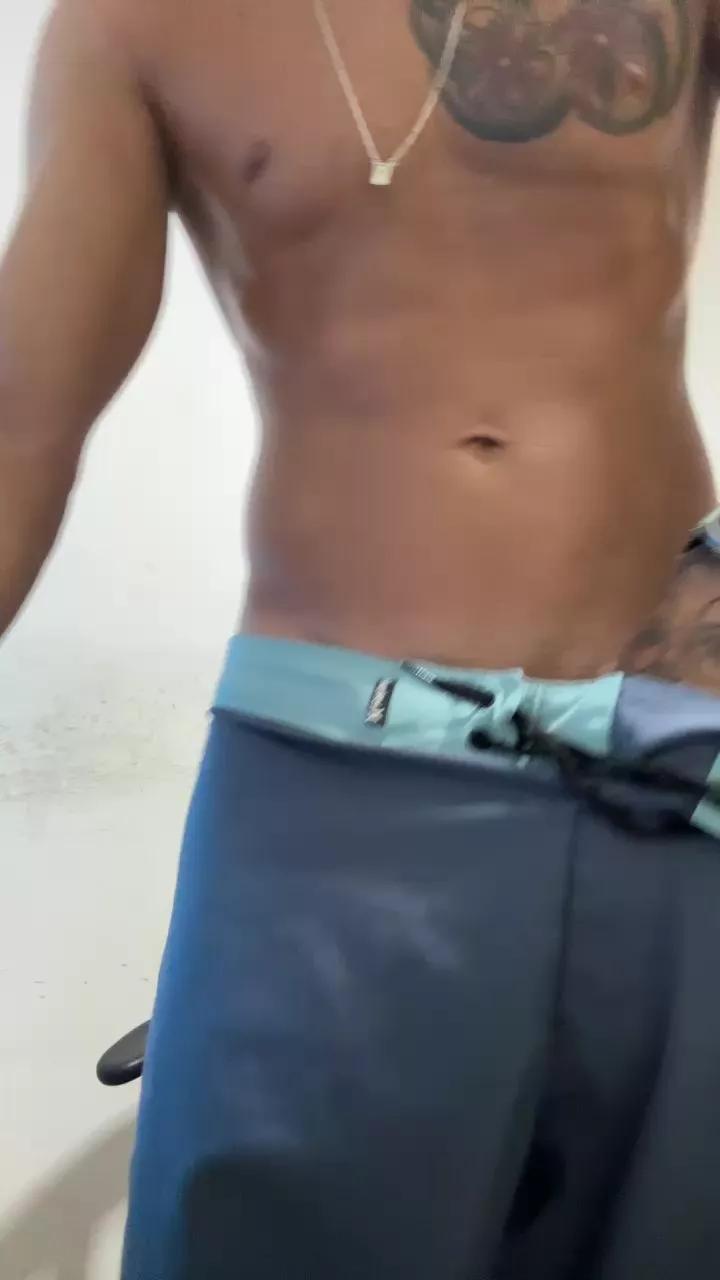 gato_dtado