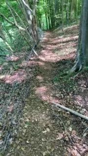 Outandabout