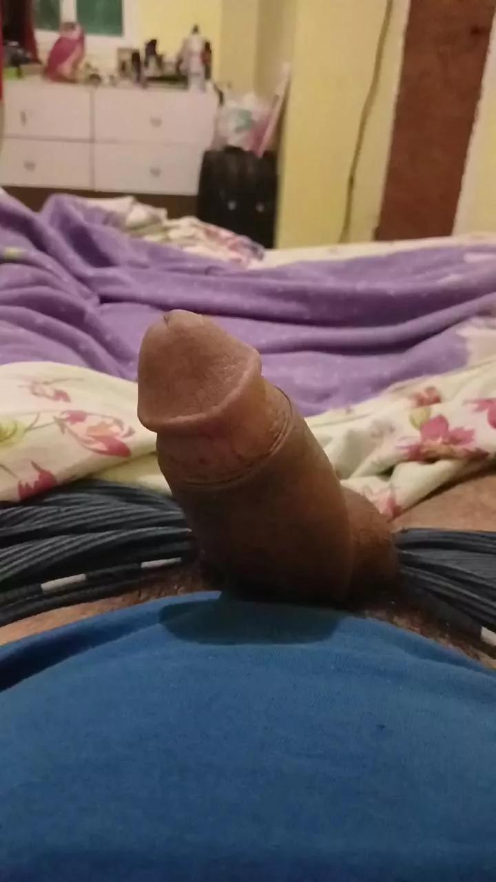 Palodulce3