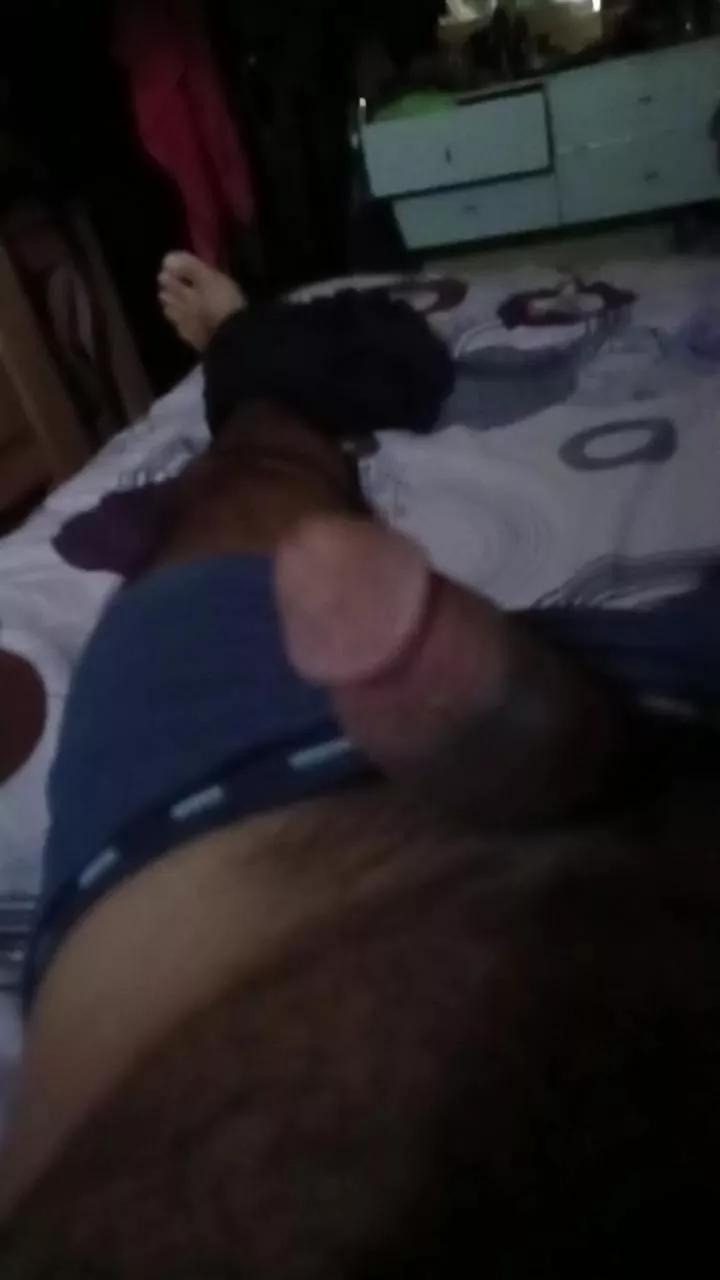 Palodulce3