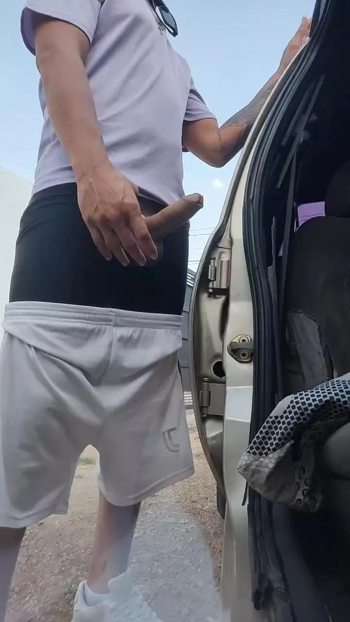 Papiyoungpig