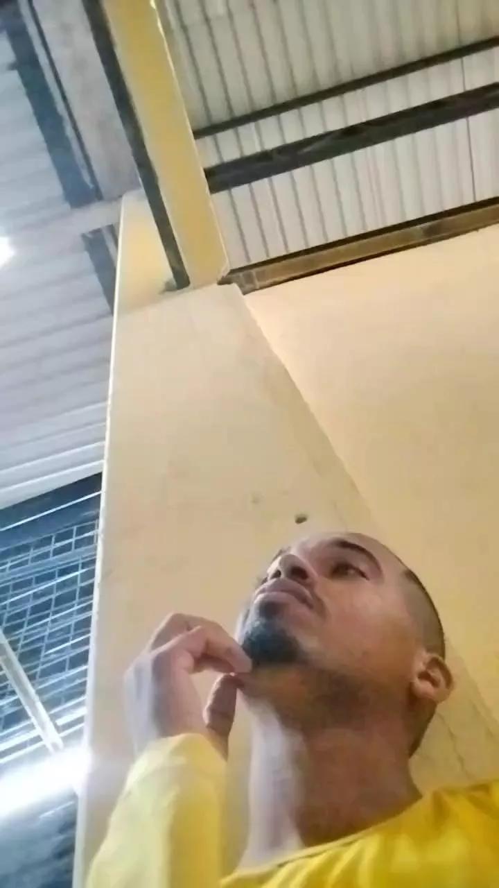 paulinhossa1