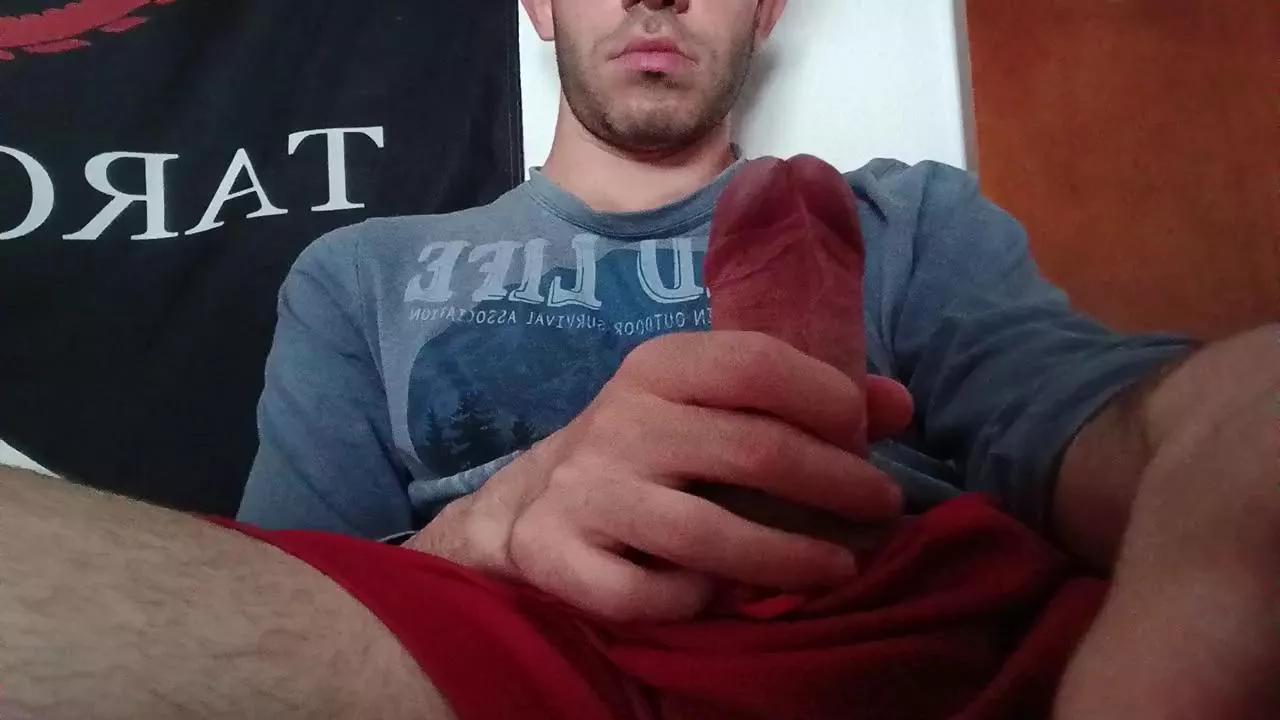 Pollon797