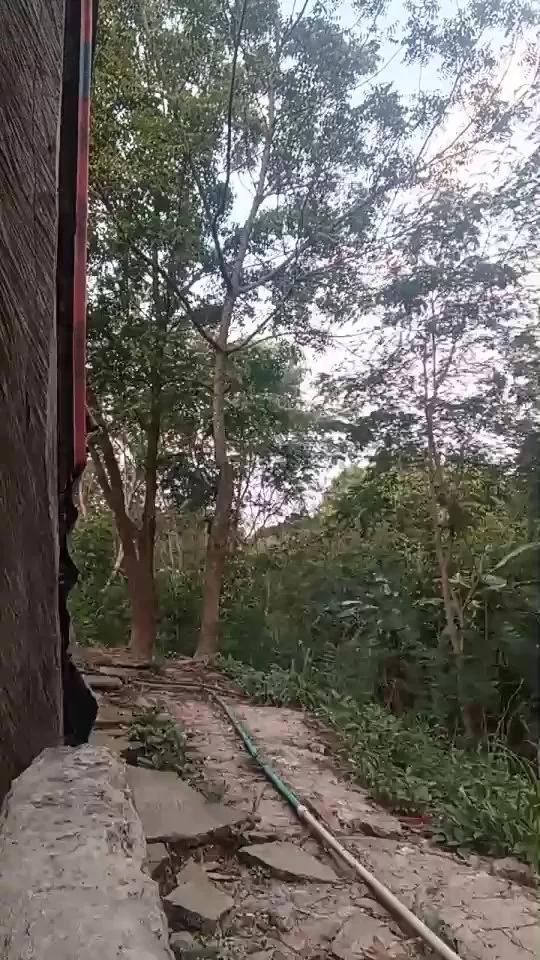 Richard_2