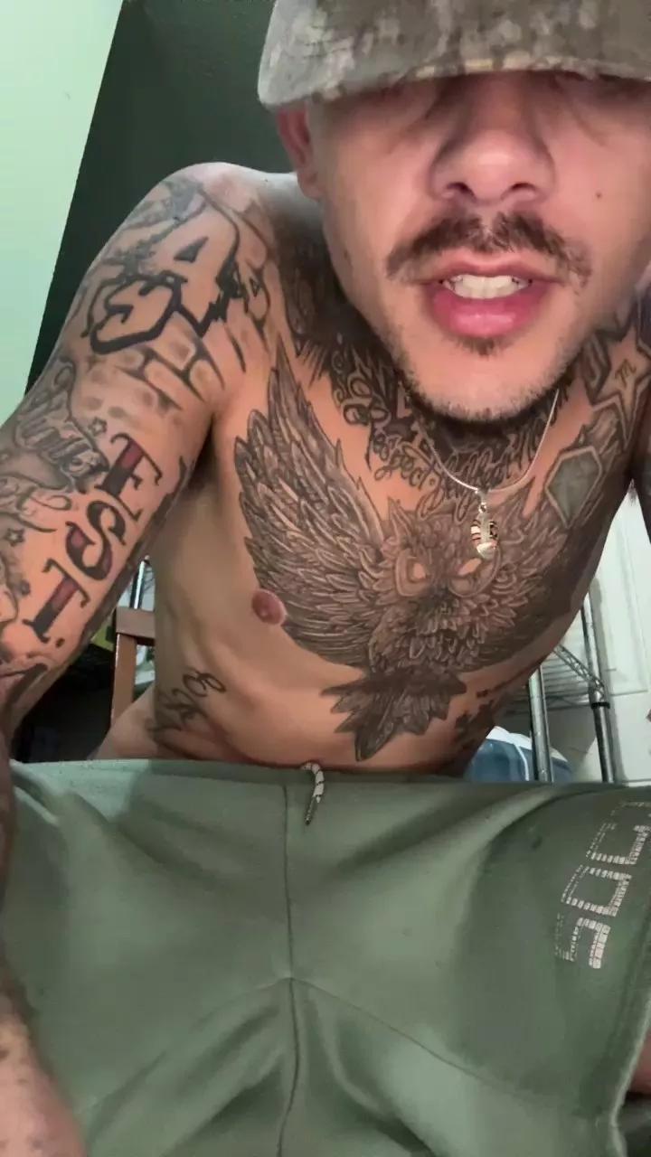 YellaboyAPEX