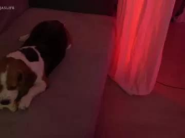 Girls: discover live performances with matured cam models, from teasing to fixations, in a variety of stunning live sex cams.