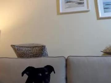 bunny_77 from Chaturbate