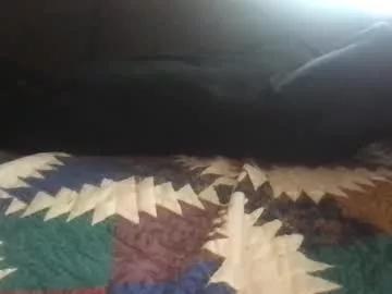 orvillewhitencocker from Chaturbate is Freechat