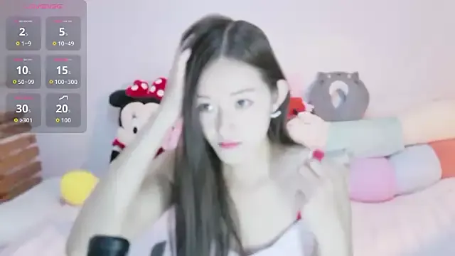 baozi-DDET — f on sc