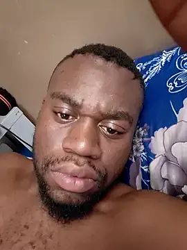 celazimnike062127