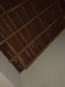 curchez_ from StripChat