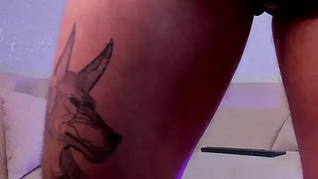 DanteDimarco from StripChat is Freechat