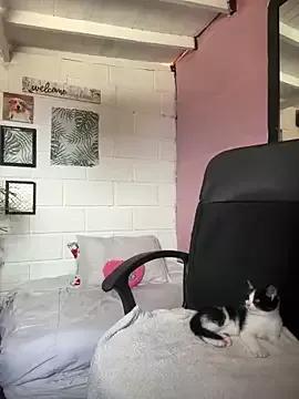 Girls: discover live performances with matured cam models, from teasing to fixations, in a variety of stunning live sex cams.