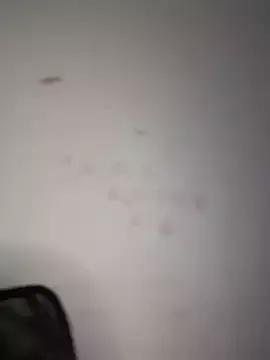 DulceLenns from StripChat is Freechat