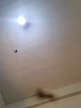 EmmaMiaa on StripChat