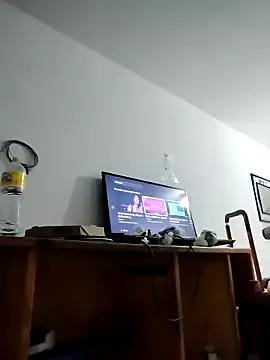 Girls: discover live performances with matured cam models, from teasing to fixations, in a variety of stunning live sex cams.