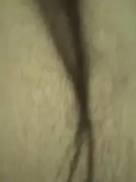 Miss_Ariellaa from StripChat is Freechat