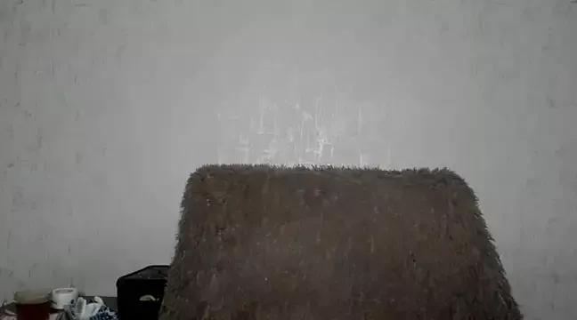 MissGulia from StripChat