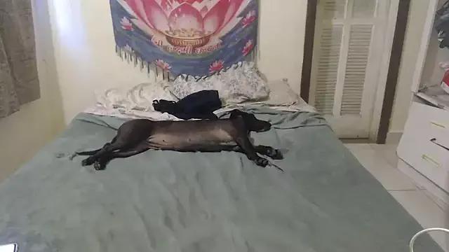 MissRebeka from StripChat