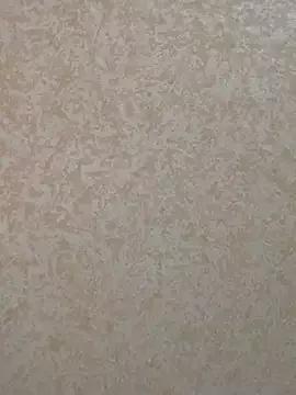 saint_cat25 from StripChat is Freechat