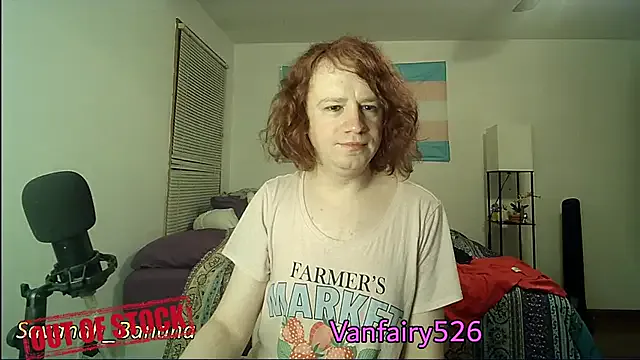 VanFairy526